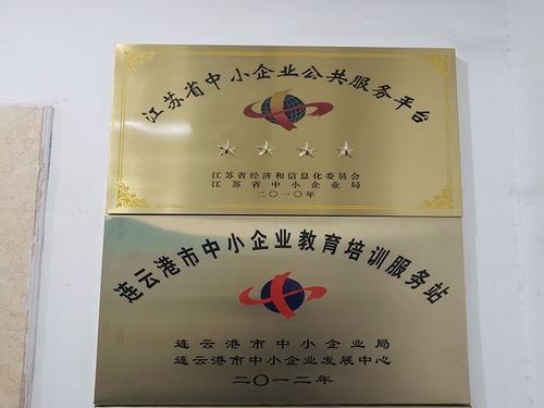 连云港市公司注册与资质办理全指南 从IC卡到食品许可证的一站式服务